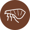 icona delle pulci